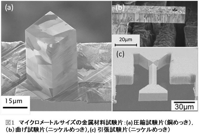 http://www.ames.pi.titech.ac.jp/old/images/kuramae%20fig.1.jpg